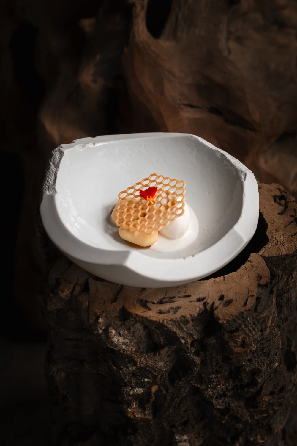 Food CircleGallery Image 1