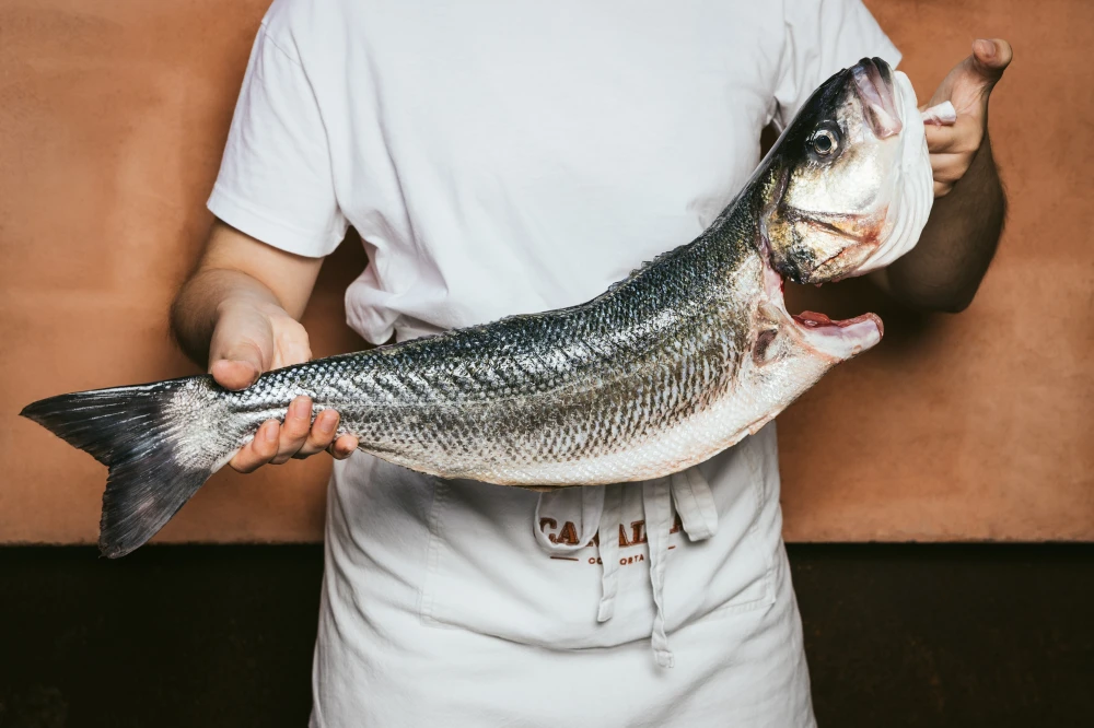 CanalhaImagem da Galeria 1