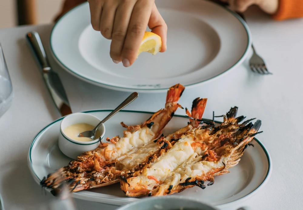 SadoImagem da Galeria 1