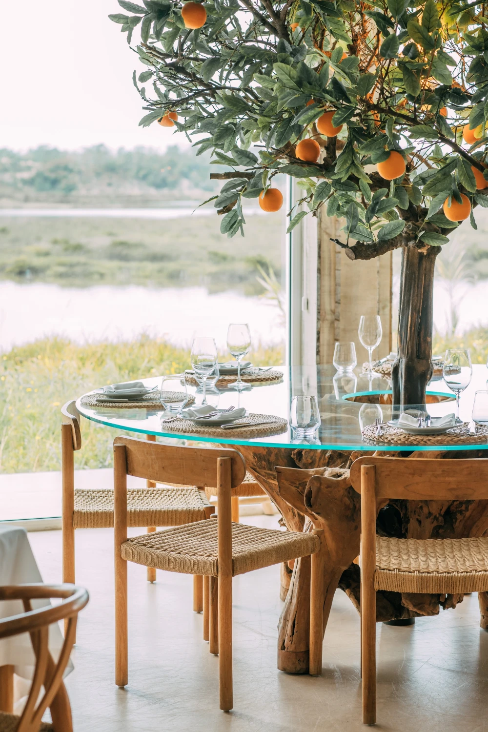 SadoImagem da Galeria 1