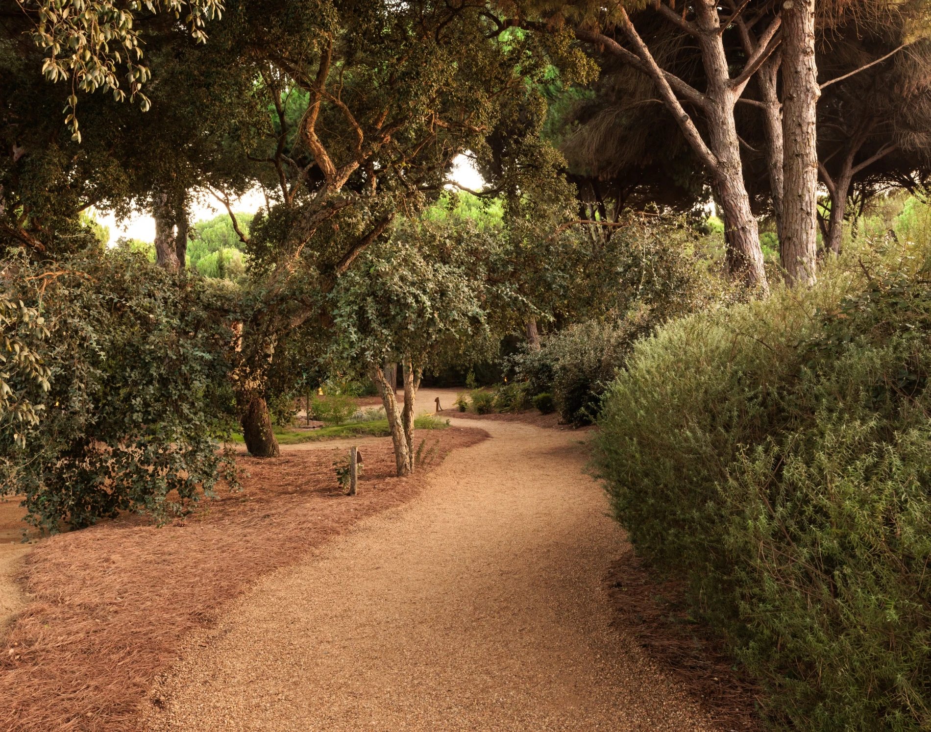 A essência do luxo enraizado
