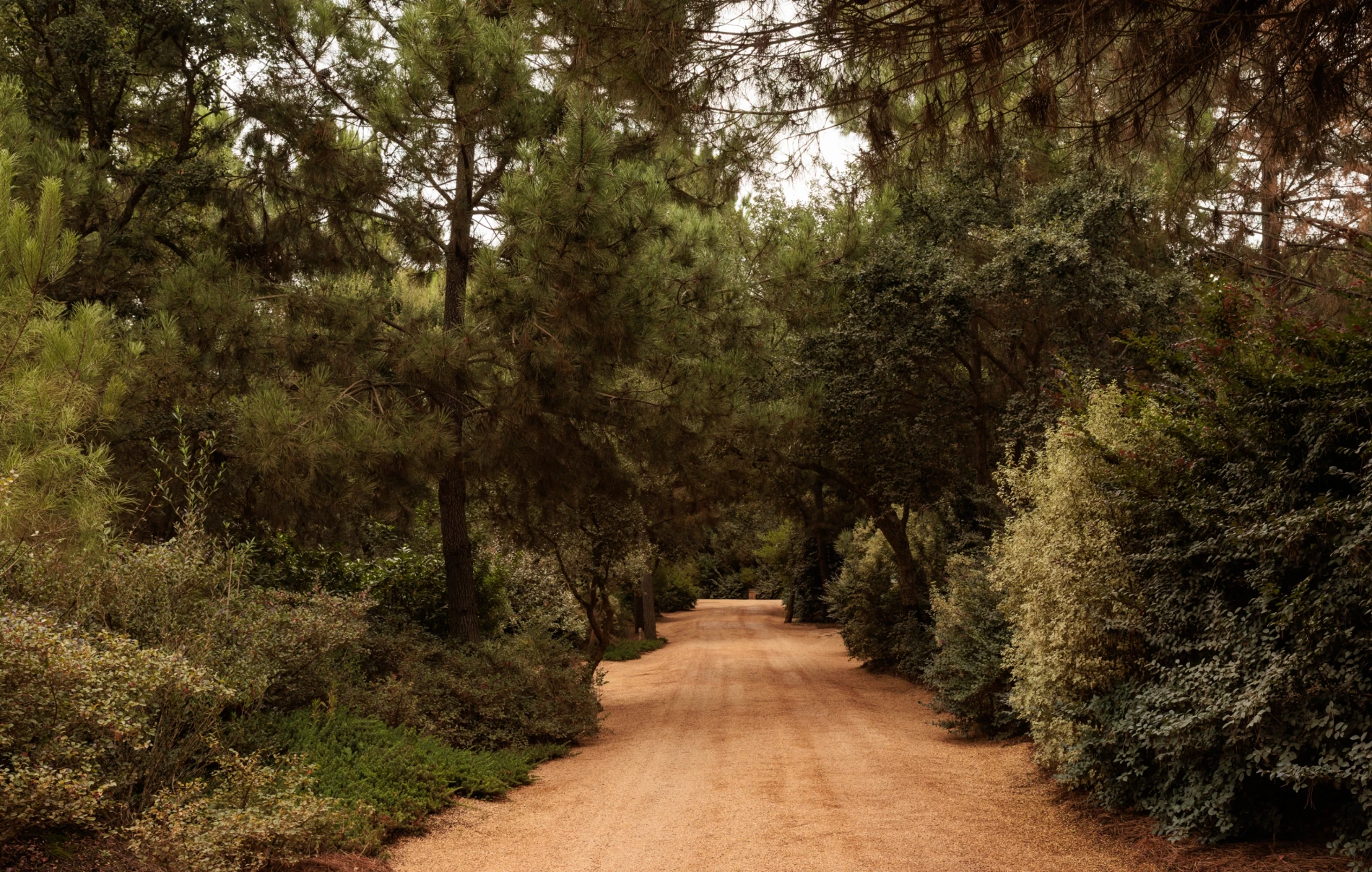 Bem-vindos ao novo Sublime Comporta