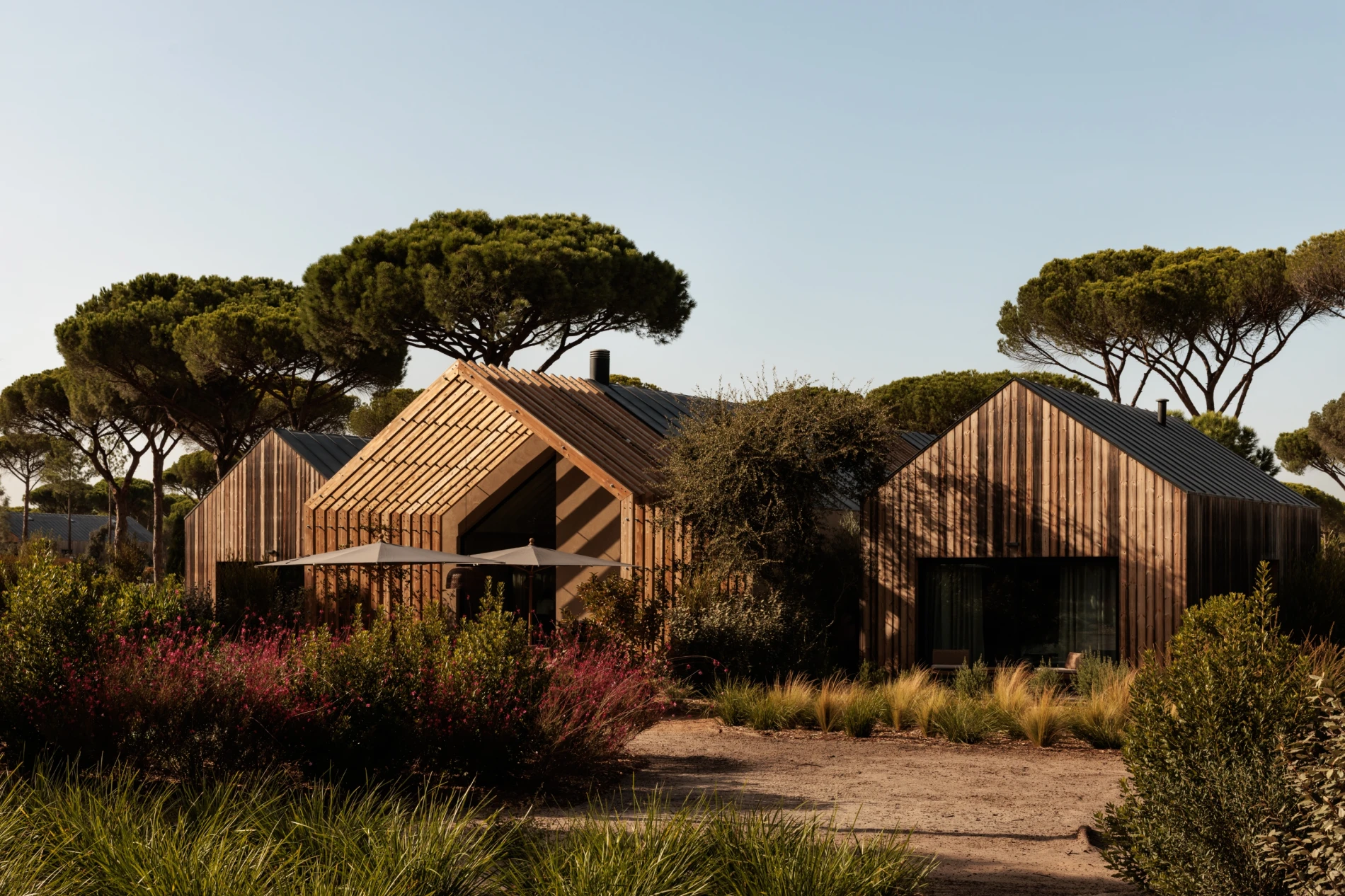 O Sublime Comporta continua a evoluir