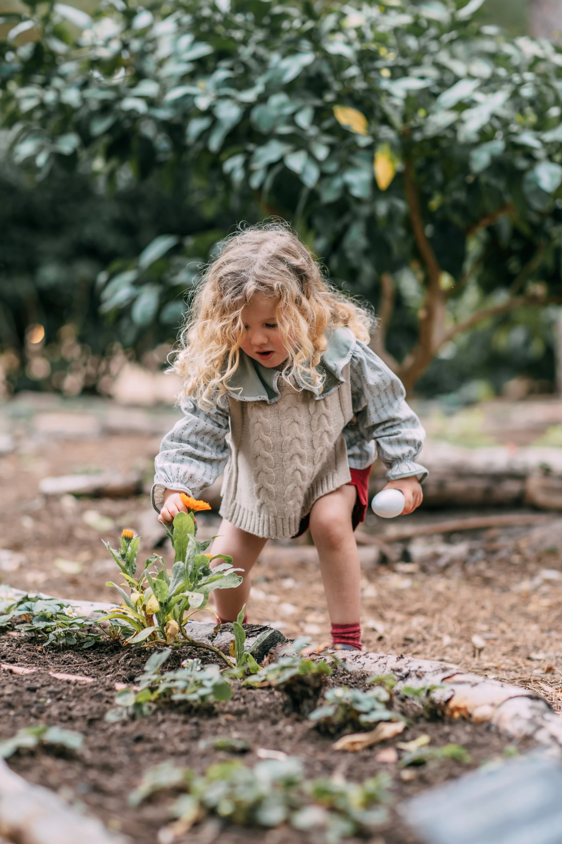 Famílias Sublime Comporta