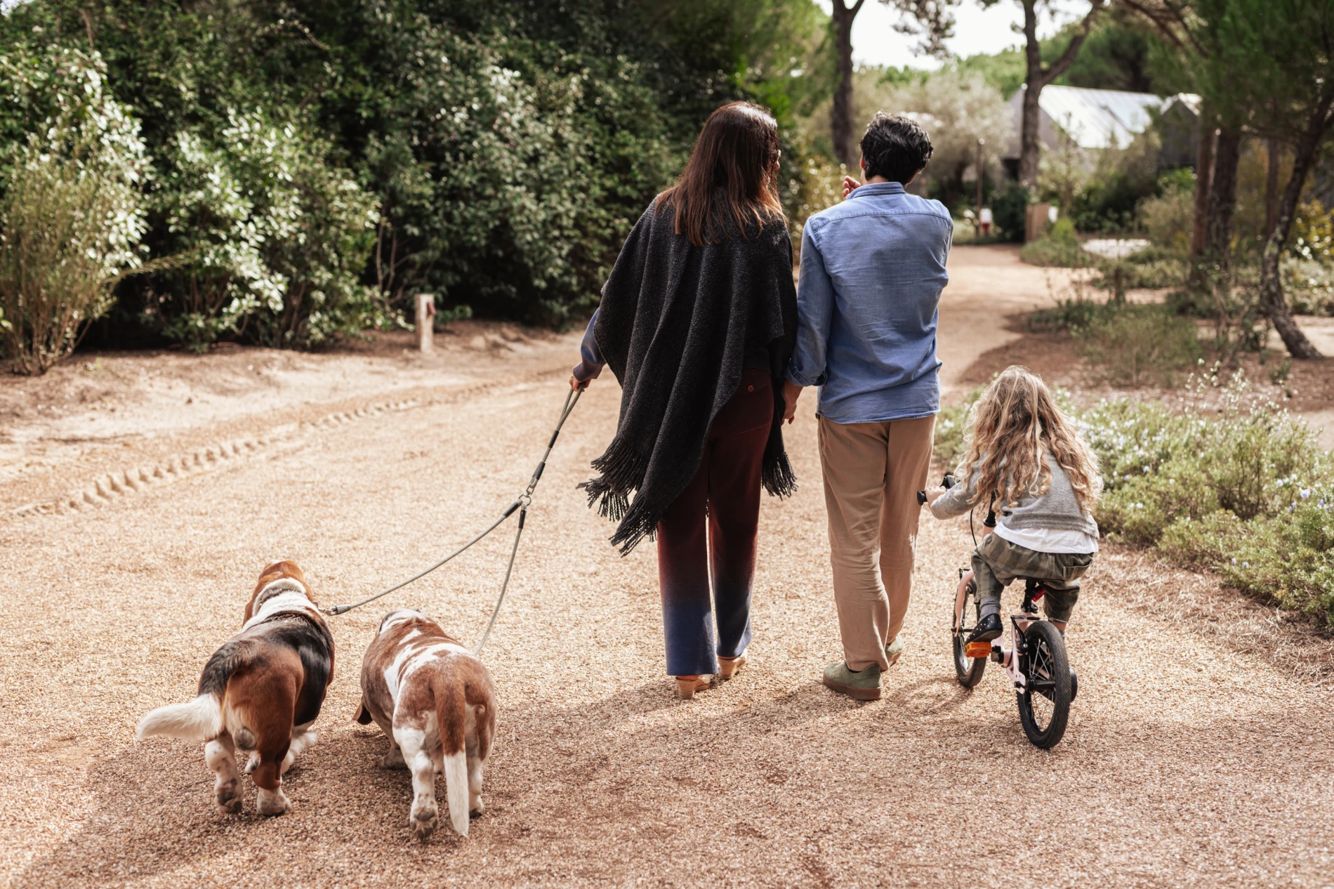 Passeio de bicicleta pelos arrozais