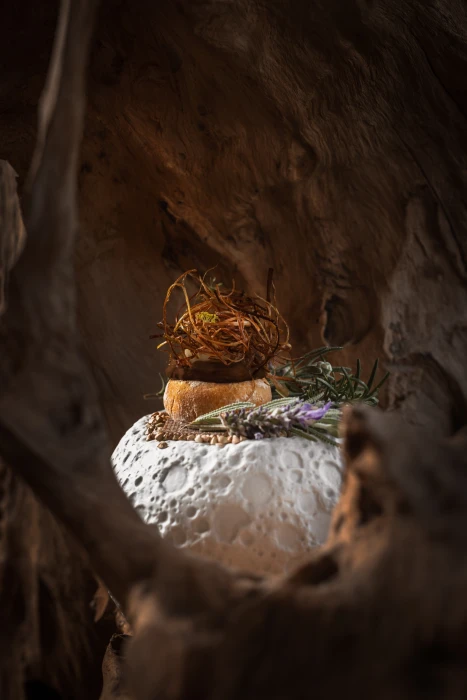 An intimate fire-led dining ritual rooted in nature, seasonality and ancestral techniques.