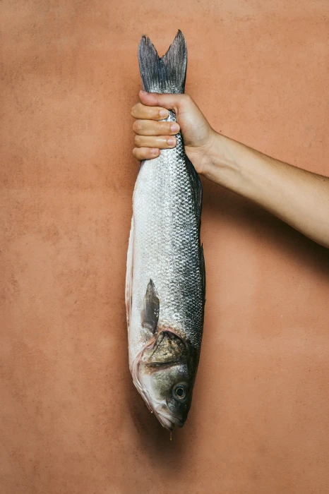 O Canalha traz a magia da cozinha tradicional portuguesa e ibérica à Comporta.